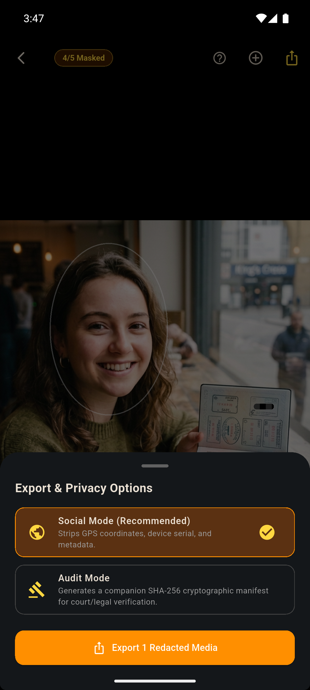 4. Metadata Sanitization